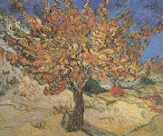 Vincent Van Gogh The Mulberry Tree (nn04) Sweden oil painting reproduction